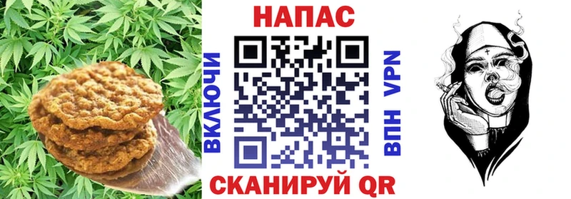 Купить где  Сосногорск  Cannafood конопля 