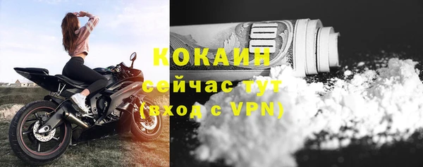 спиды Инсар