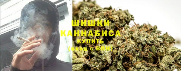 спиды Инсар