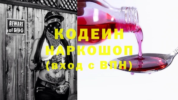 спиды Инсар