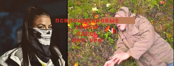 спиды Инсар