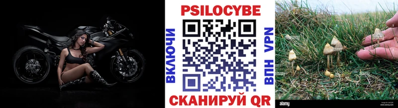 Купить где  Сосногорск  Галлюциногенные грибы Cubensis 